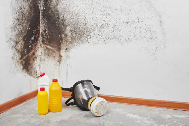 Best Industrial Mold Remediation in Fairfield Beach, OH