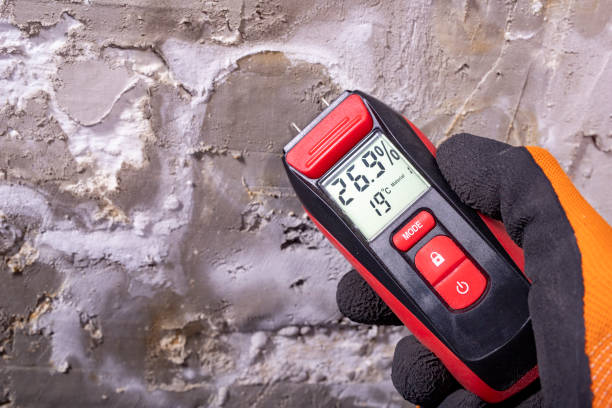 Best Post-Flood Mold Remediation in Fairfield Beach, OH