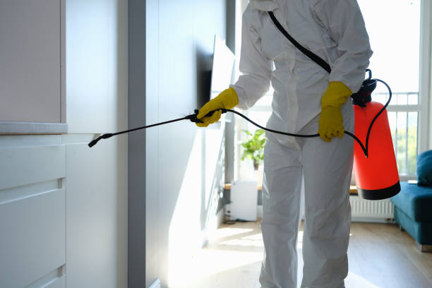 Best Crawl Space Mold Remediation in Fairfield Beach, OH