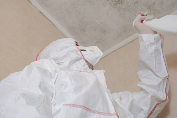 Best Commercial Mold Remediation in Fairfield Beach, OH
