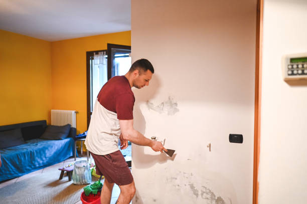 Best DIY Mold Remediation Support Services in Fairfield Beach, OH